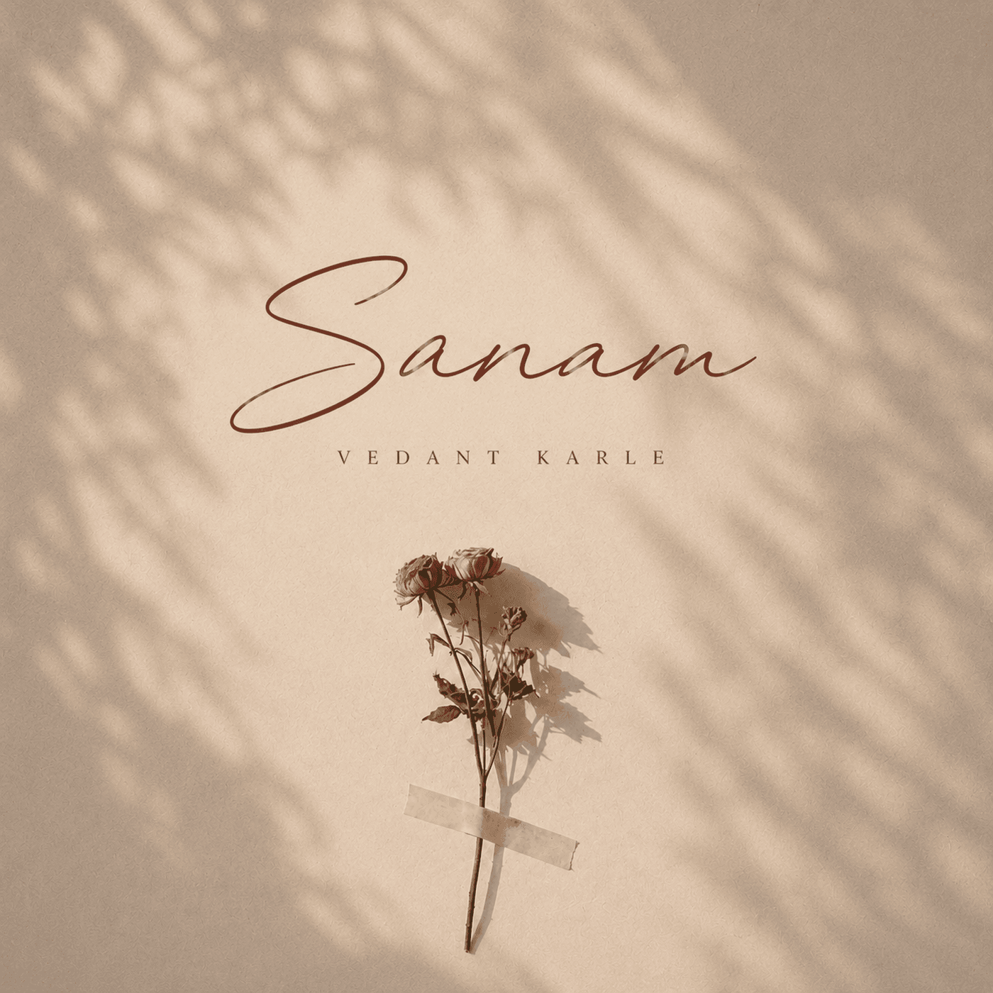 Sanam cover art